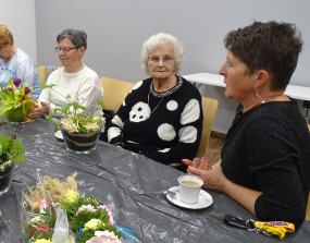 Kluby: Ogrody w szkle – małe światy zamknięte w przezroczystej przestrzeni