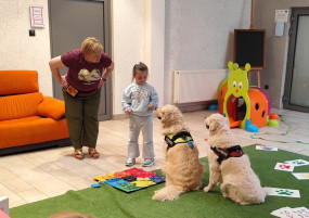 Cztery łapy, setki uśmiechów – dogoterapia w jasielskiej bibliotece