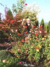 Kluby: Aromaterapeutyczna enklawa czyli w ogrodach „Michalin” - Zdjęcie nr 10
