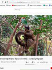 Projekty: Madagaskar - niezwykły świat lemurów - Zdjęcie nr 9