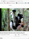 Projekty: Madagaskar - niezwykły świat lemurów - Zdjęcie nr 11