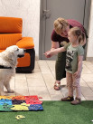 Cztery łapy, setki uśmiechów – dogoterapia w jasielskiej bibliotece - Zdjęcie nr 17