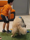 Cztery łapy, setki uśmiechów – dogoterapia w jasielskiej bibliotece - Zdjęcie nr 20